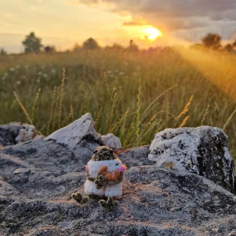 Rapucha Šaptucha – Photo 1
