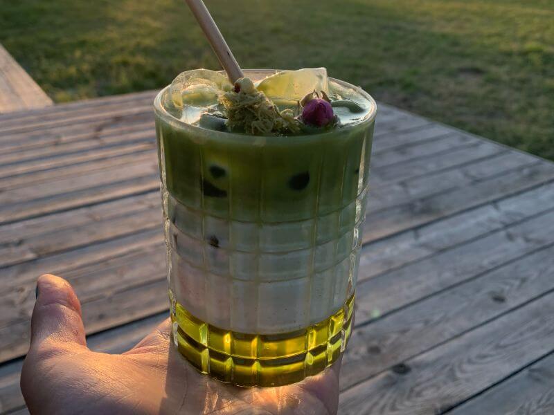 Matcha organiczna